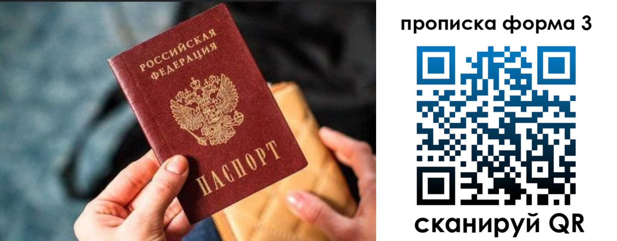 прописка гарантия в Касимове